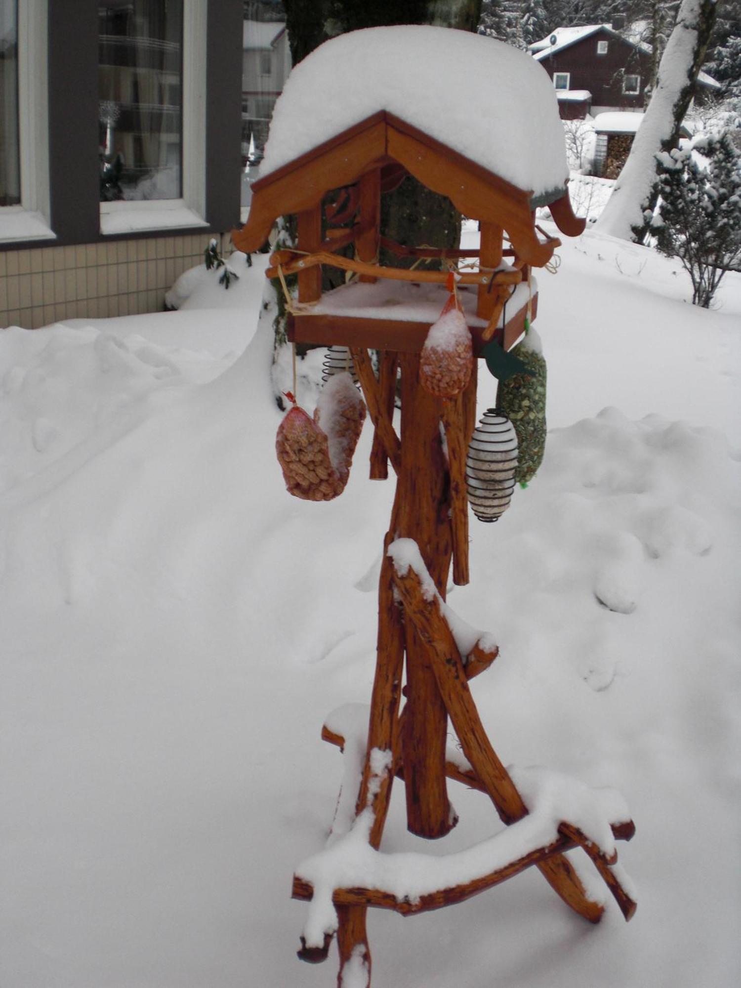 Landhaus Irmgard Hotel Braunlage Exterior foto