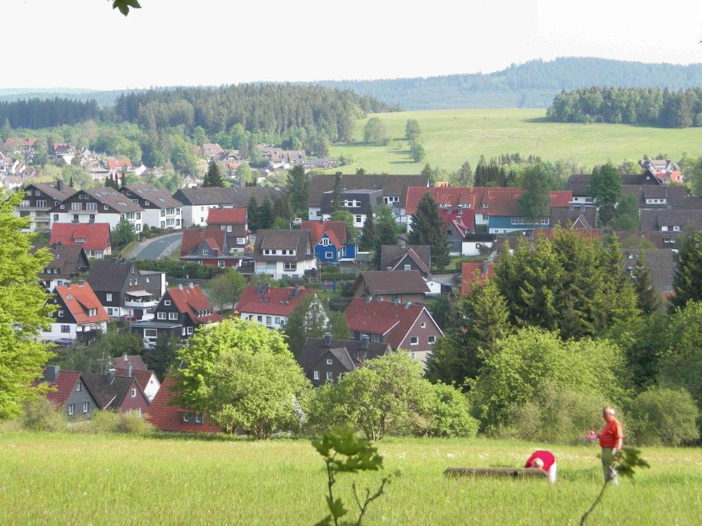 Landhaus Irmgard Hotel Braunlage Exterior foto